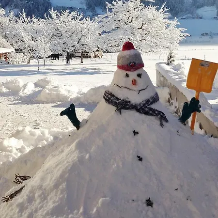 Apartment Bergheil *